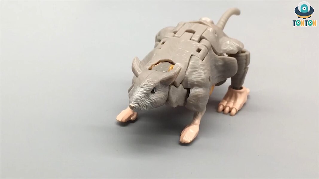 Transformers Kingdom Rattrap  (3 of 13)